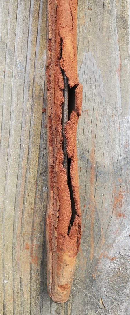 Canadian Ross 1907 Vintage Bayonet 16 - Image 3